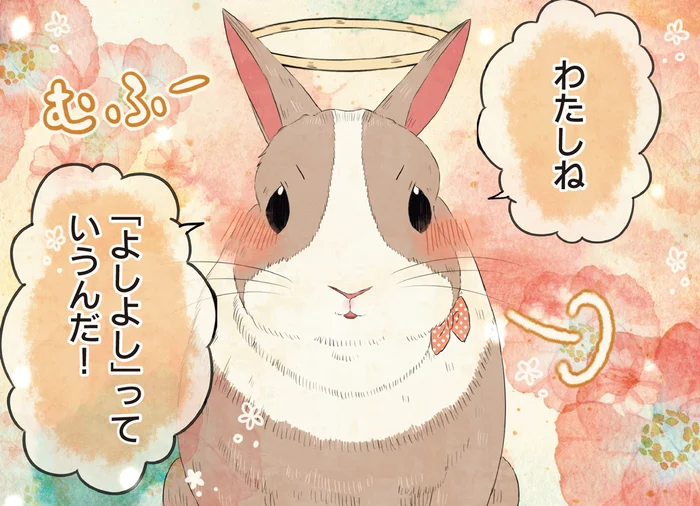 うさぎさんたちが天国で自慢気に教えてくれた、いっぱい呼んでもらった「名前」