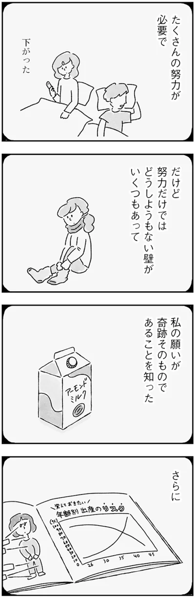 『33歳という日々　子なし夫婦、エリの場合』より