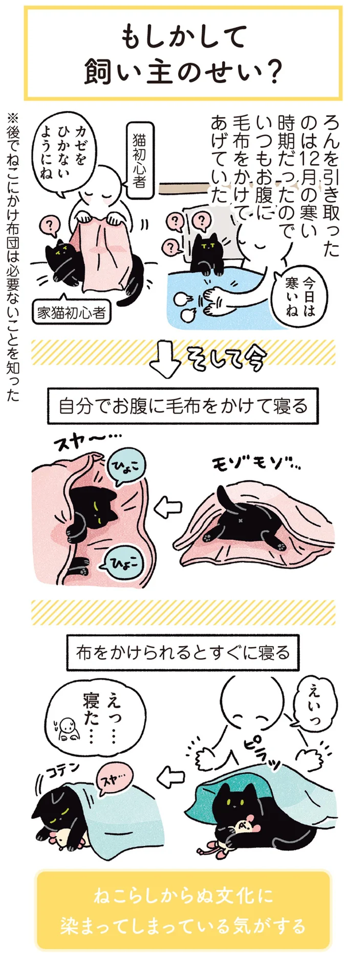 『黒猫ろんと暮らしたら3』より