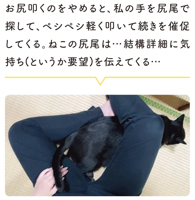 『黒猫ろんと暮らしたら3』より
