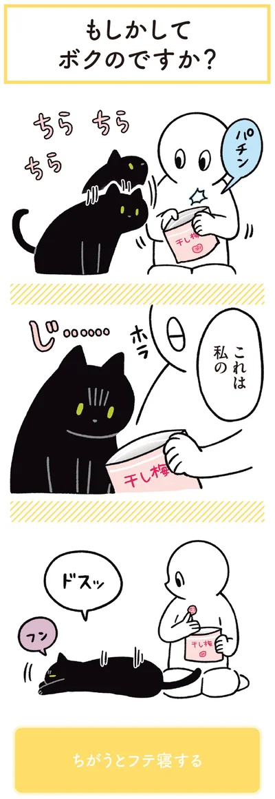 『黒猫ろんと暮らしたら3』より