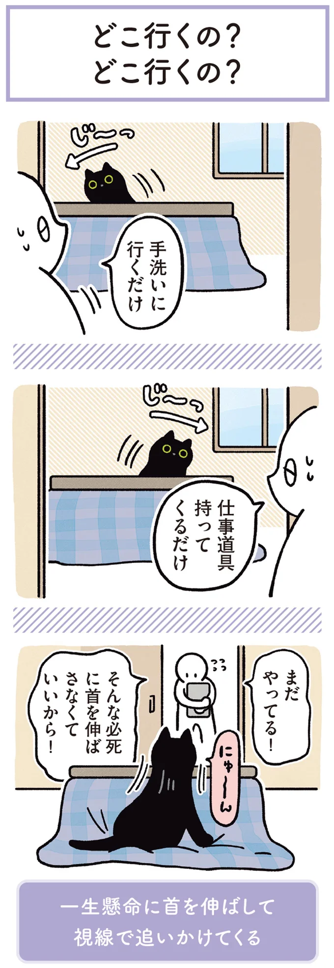 『黒猫ろんと暮らしたら3』より