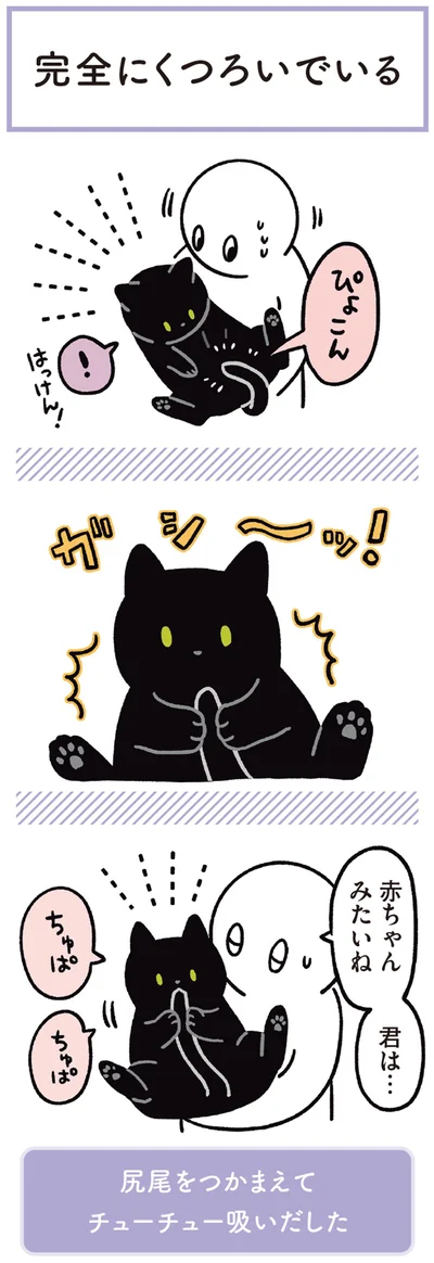 『黒猫ろんと暮らしたら3』より