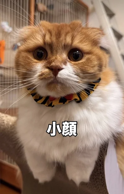 虎柄が似合ってる▶別のアングルからも（⇒次へ）