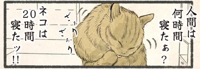 人間は何時間寝たぁ？