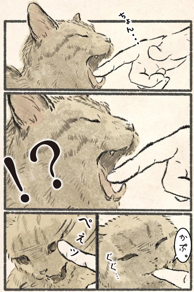 『今日もネコ様の圧が強い』より