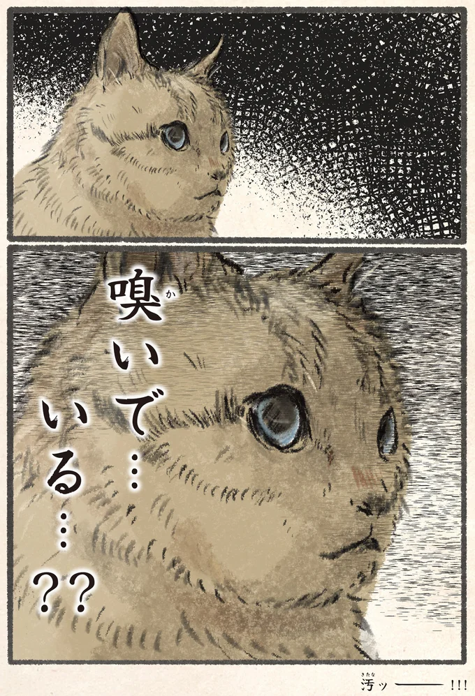 『今日もネコ様の圧が強い』より