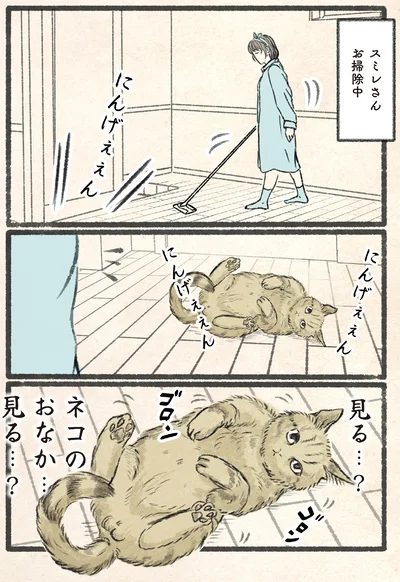 『今日もネコ様の圧が強い』より
