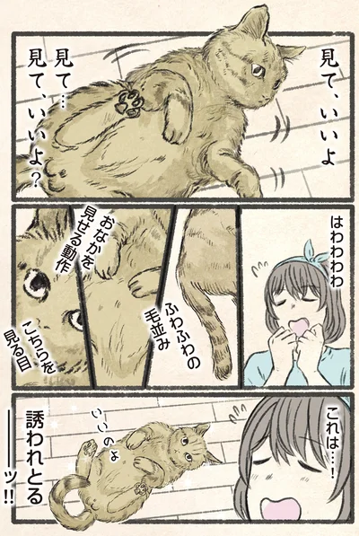 『今日もネコ様の圧が強い』より