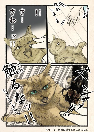 『今日もネコ様の圧が強い』より