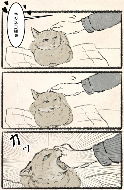 『今日もネコ様の圧が強い』より