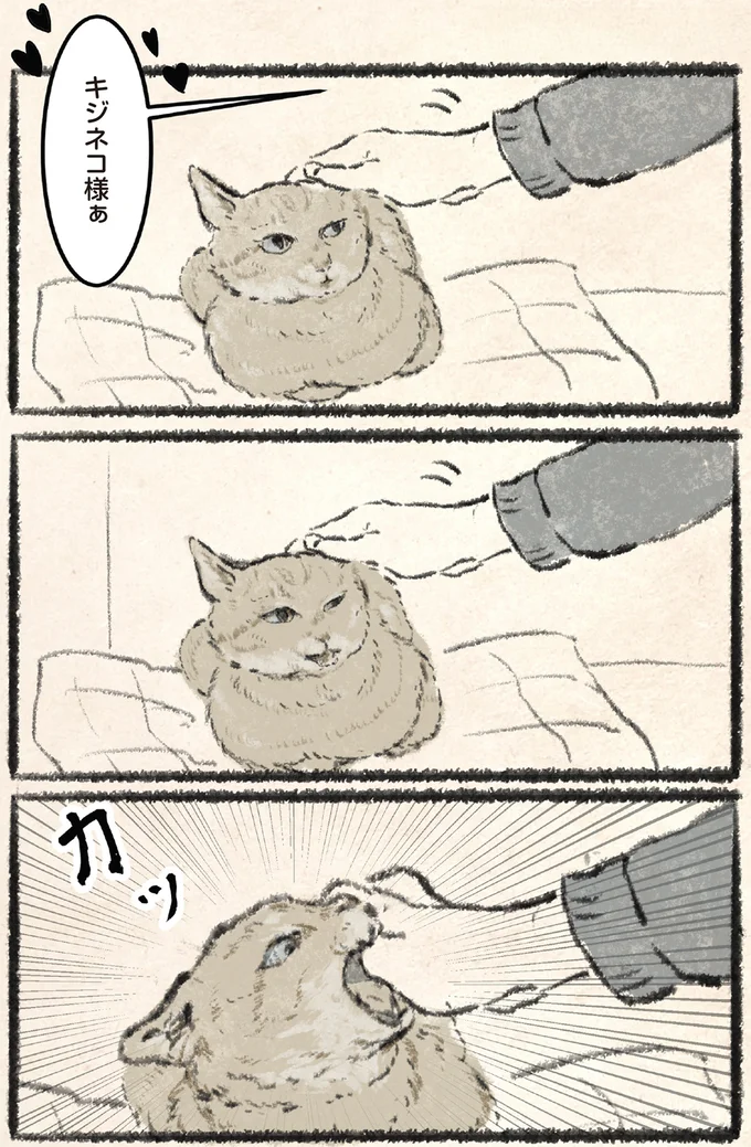 『今日もネコ様の圧が強い』より