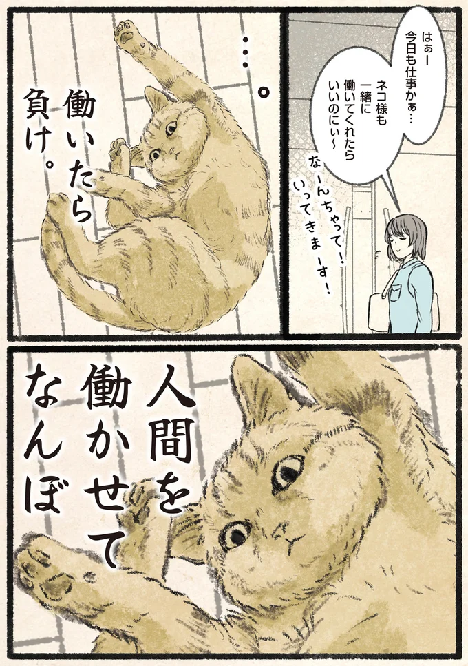 『今日もネコ様の圧が強い』より