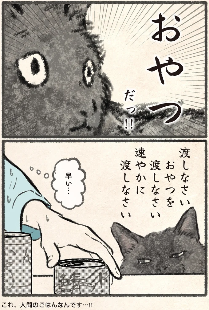 『今日もネコ様の圧が強い』より