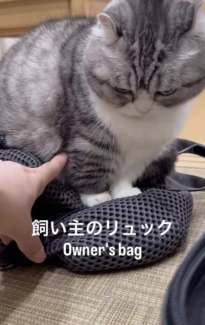 飼い主さんがリュックにそっと手を伸ばす（⇒次へ）