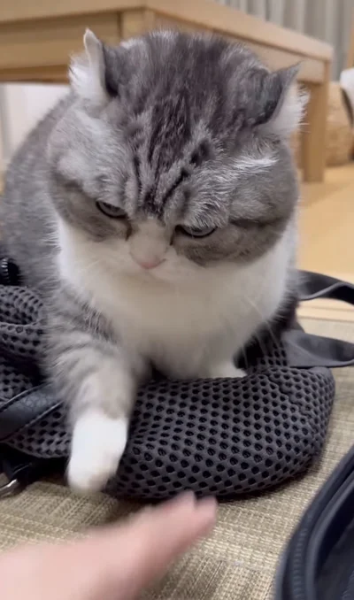 しっかりガード▶何度か攻防を繰り返した末…（⇒次へ）