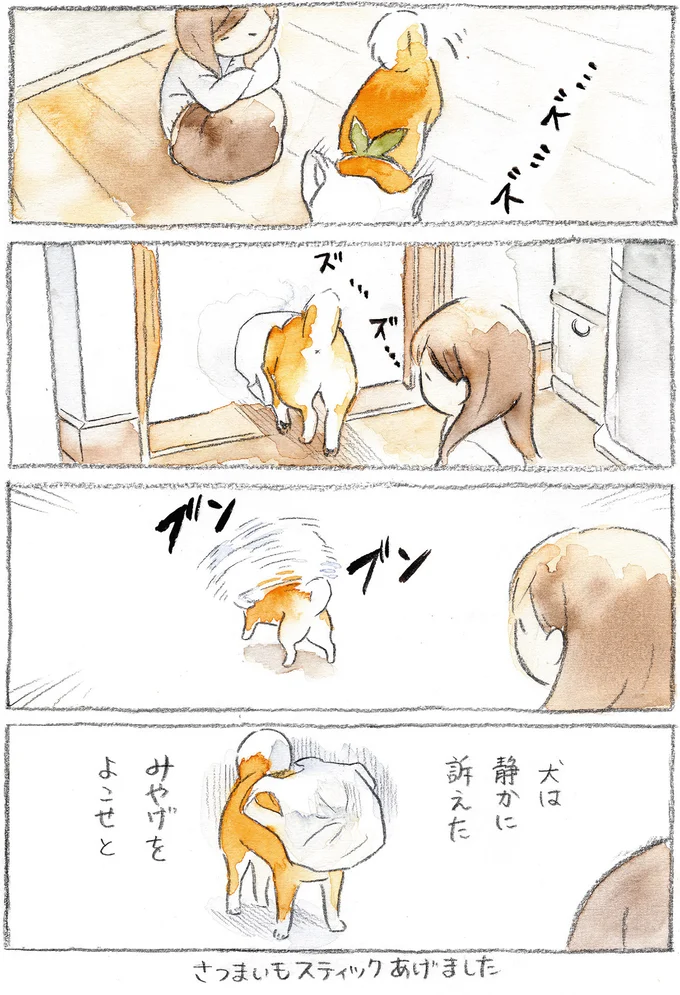『柴犬ぽんちゃん、今日もわが道を行く』より