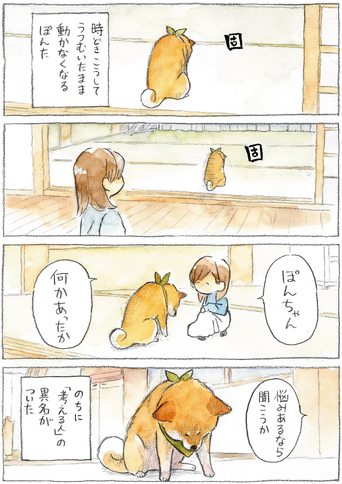 『柴犬ぽんちゃん、今日もわが道を行く』より