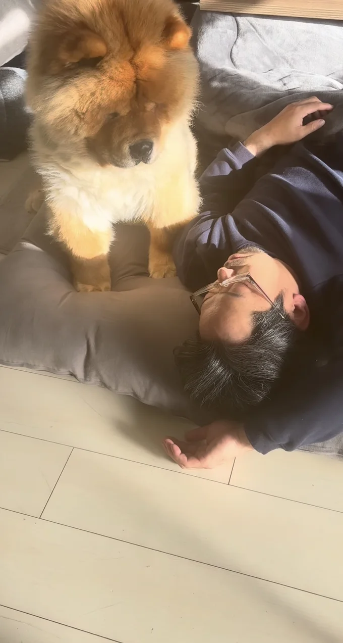 ちょこんと座るしめじくん(⇒次へ)