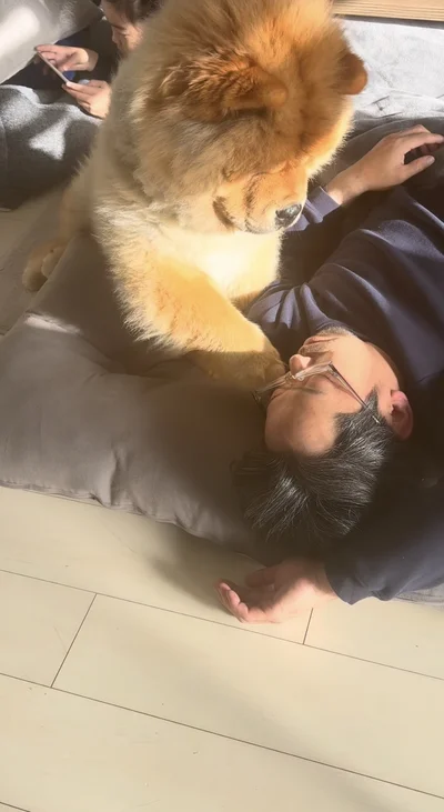 “チョン”と触れて起こそうとする（⇒次へ）