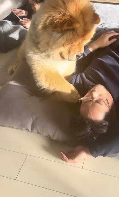 「なんでい」と言われた▶それでも諦めず…（⇒次へ）