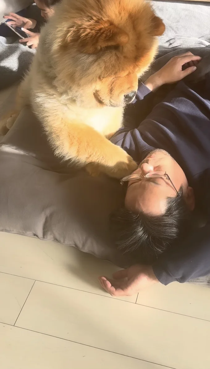 もう一度“チョン”と触れてみる▶すると今度は…(⇒次へ)