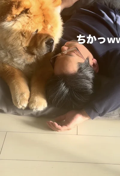 諦めて静かに寄り添う▶起こすのが好き！？（⇒次へ）