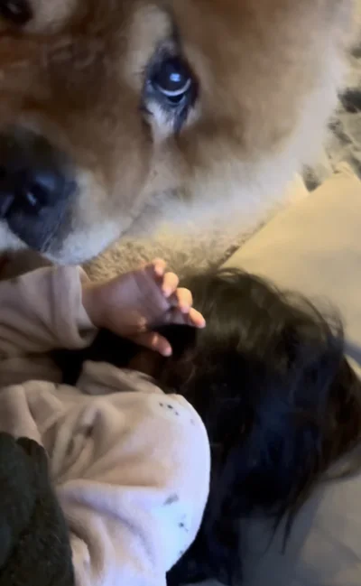 起きた…！▶起こし終わったら…（⇒次へ）