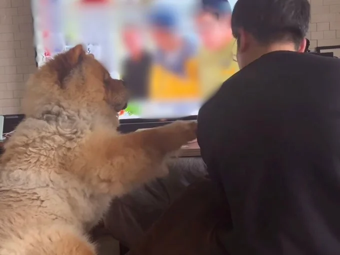 2人でこたつに入ってテレビを見る▶お父さんの肩を“トン”とたたくと…(⇒次へ)