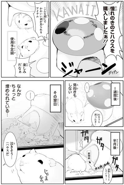 泣きそう…（ハウスが）