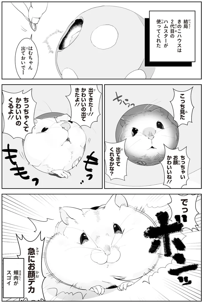 ちっちゃいお顔かわいいね！！