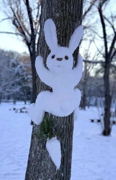 にんじんも一緒▶つくっているのはana163さん（⇒次へ）