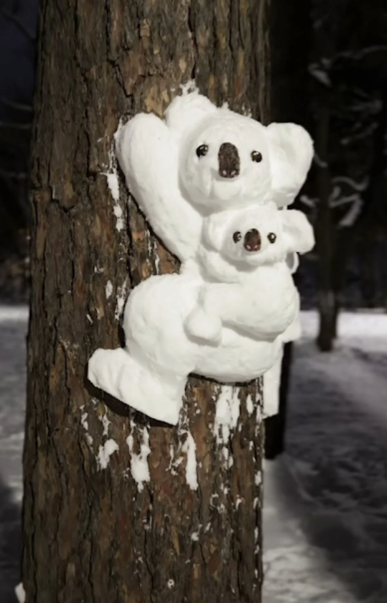 札幌のバンクシー」足を止める人が続出！公園に突如現れた雪うさぎに