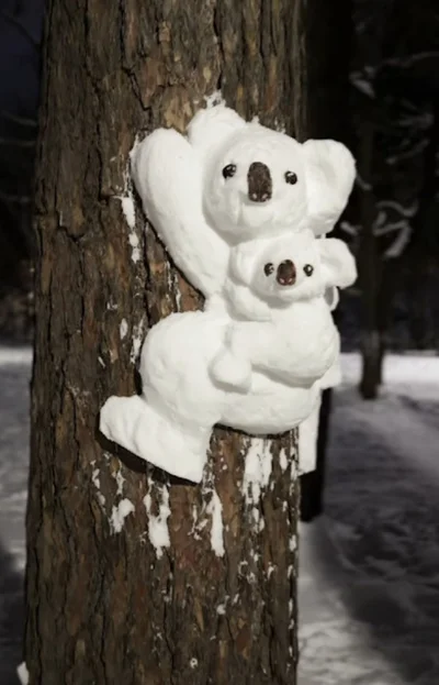 コアラの親子▶札幌の町のベンチにも出現（⇒次へ）