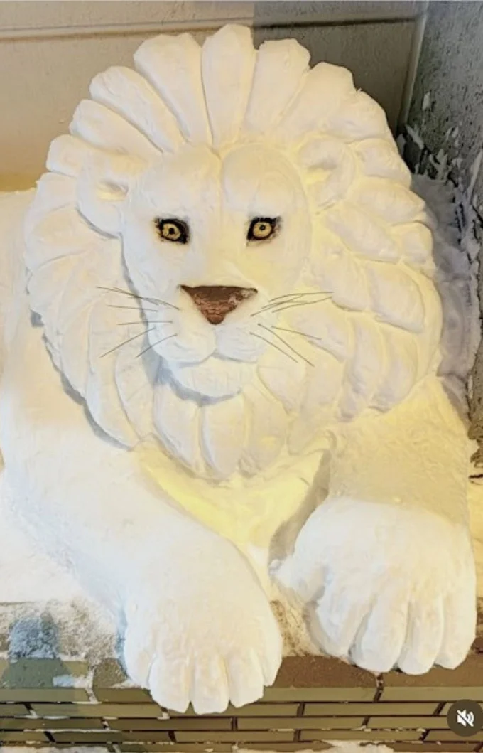 本物そっくりなライオン▶次に現れたのは大きな体の一部(⇒次へ)