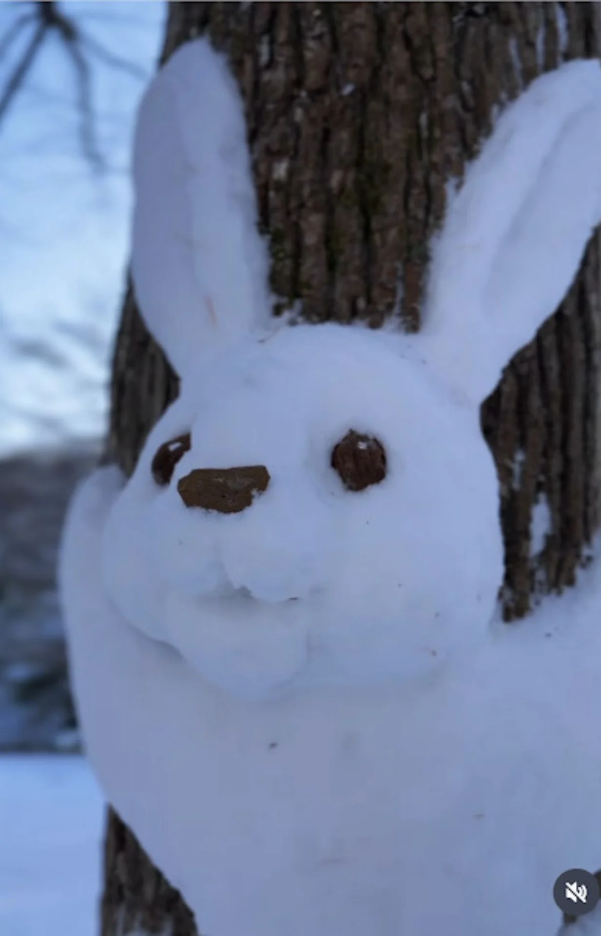 札幌のバンクシー」足を止める人が続出！公園に突如現れた雪うさぎに