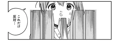 これだけ反対…