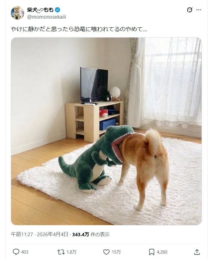 愛犬がやけに静かだなと思ったら…！思わず二度見する衝撃的な姿に
