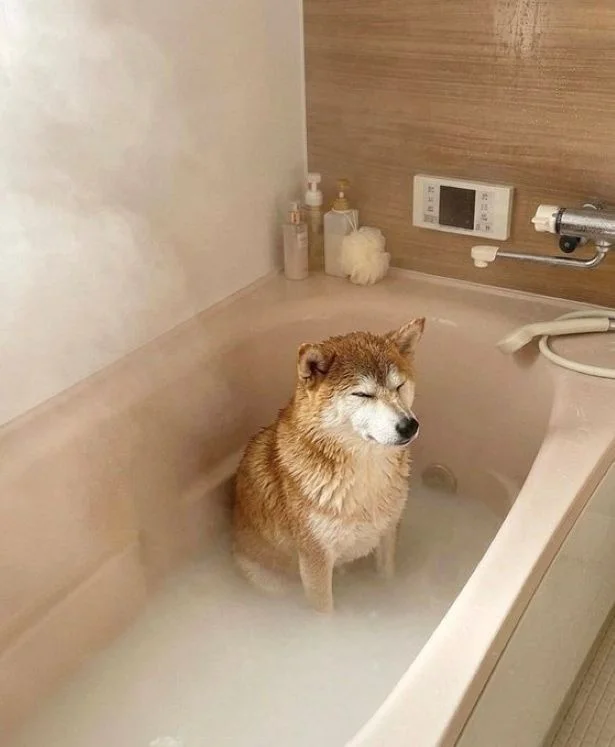 気持ちよさそうな表情ですね▶出張に行く日（⇒次へ）