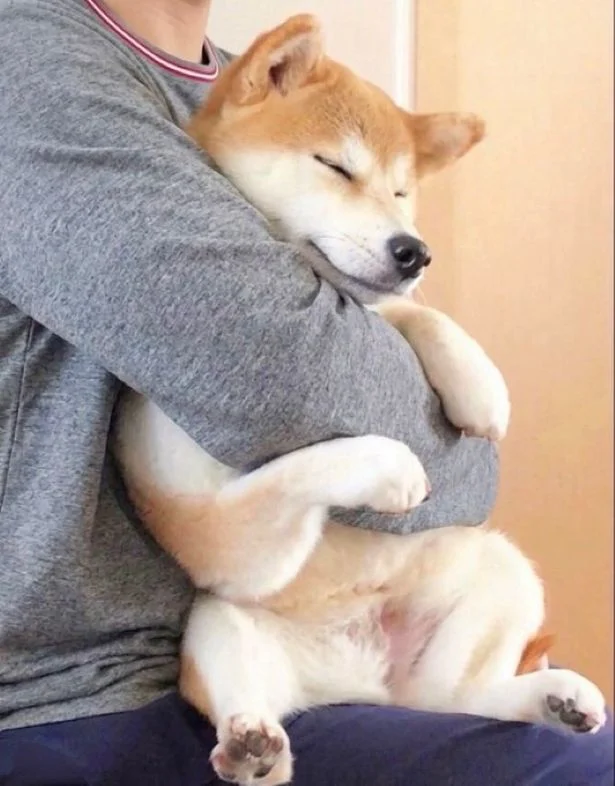 お互いに幸せなひとときですね▶かなりの盛り上がりを見せるももちゃん（⇒次へ）
