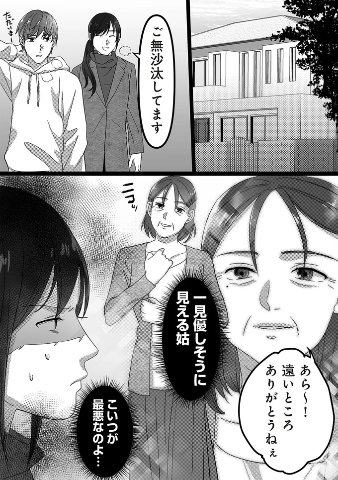 『私、「サレ妻予備軍」になりました。』より