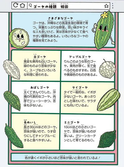 ゴーヤの選び方にも気をつけてみましょう