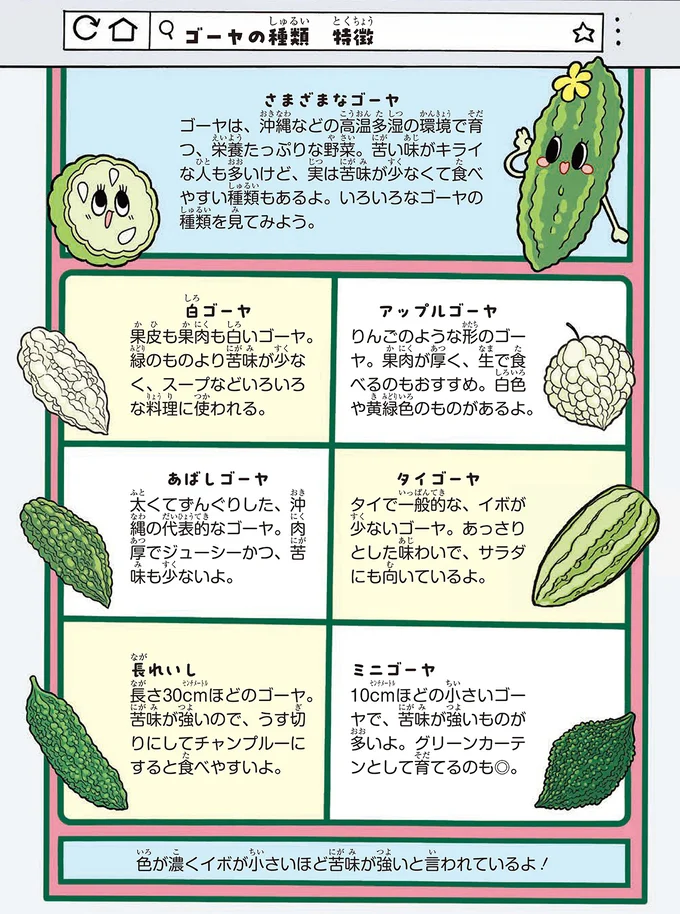 ゴーヤの選び方にも気をつけてみましょう