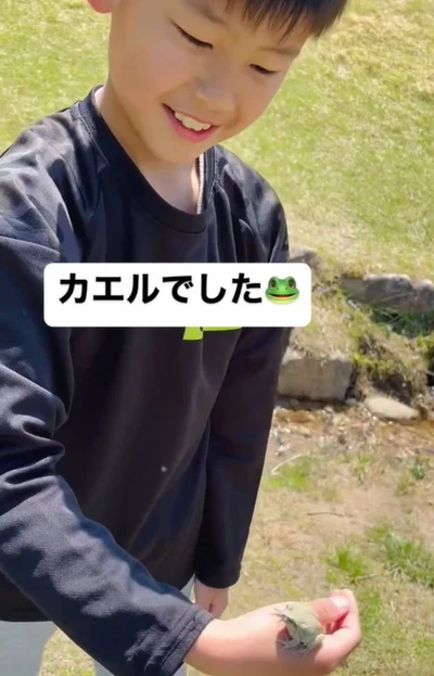 小さなアマガエル▶動物たちとの癒しの毎日（⇒次へ）
