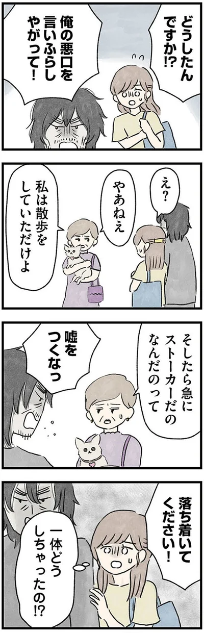 散歩をしていただけよ