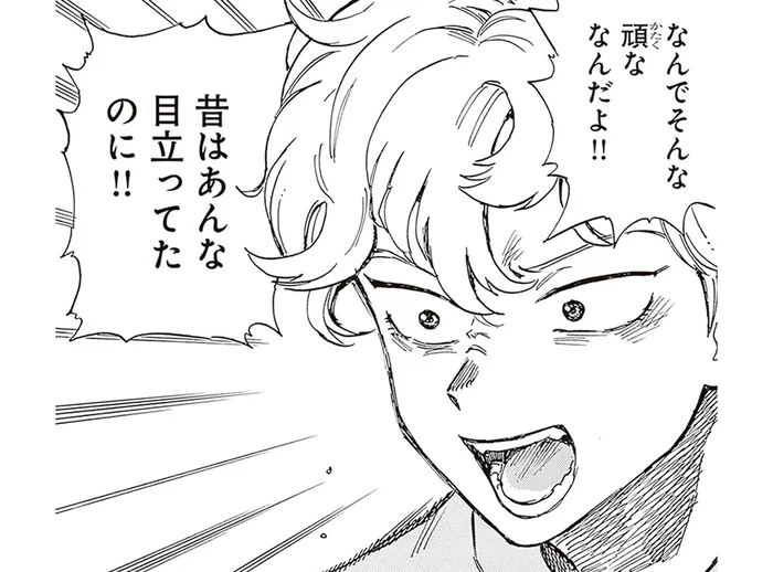 昔はあんなに目立ってたのに！ 頑なに目立つのを拒否する兄、一体なぜ？／されどふたご3（4）