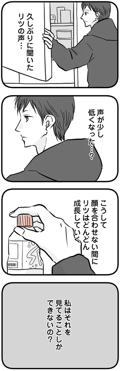 『15歳の息子が消えた日　不登校・卒業・そして家出』より