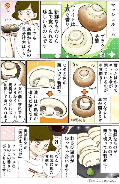 マッシュルーが新鮮かどうかの見分け方は…？