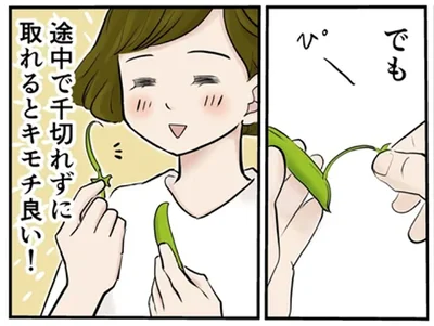 スナップエンドウの筋取り、めんどくさいけどキモチ良い！／季節を味わう､夫婦の台所