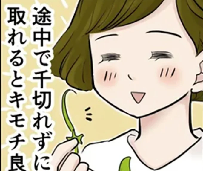 （C）峯鳥子
